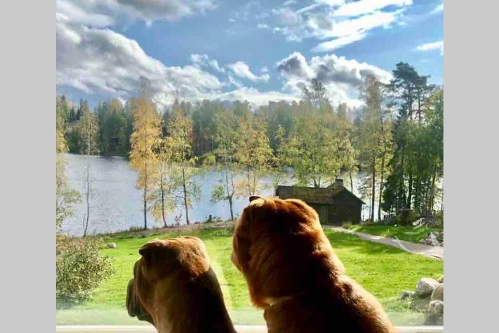 Yksio Jarvenrannalla Espoossa Lägenhet Exteriör bild